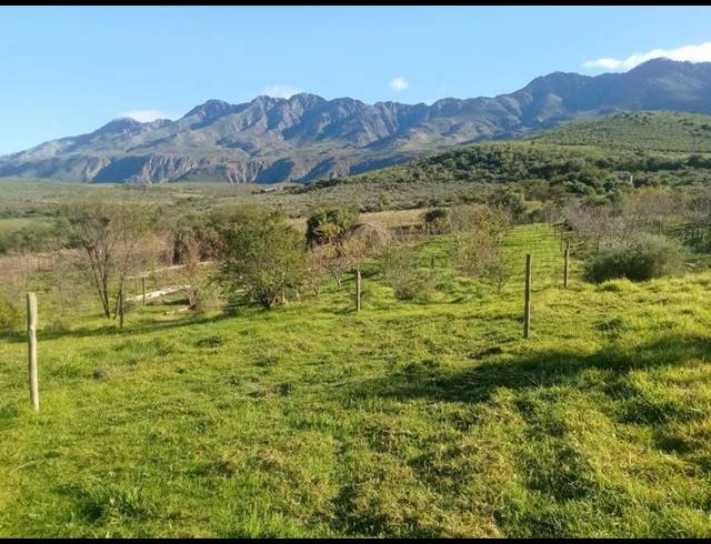 FARM FOR SALE IN OUDTSHOORN RURAL